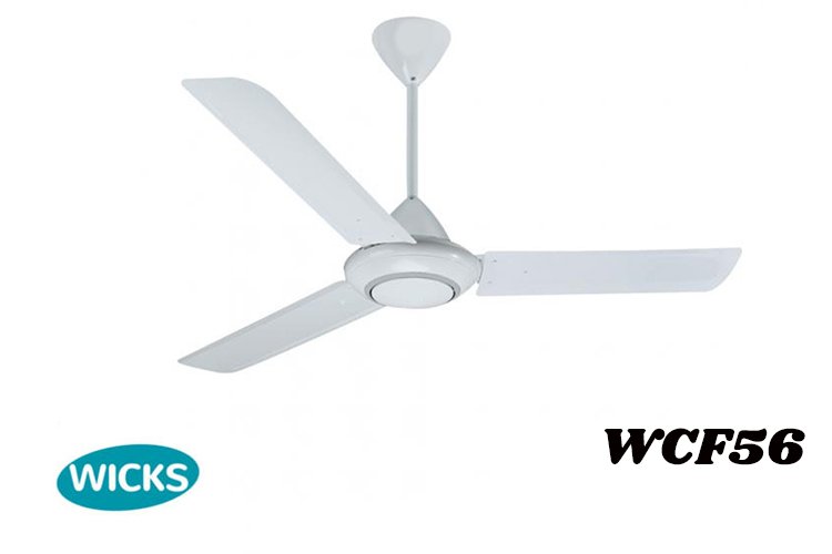 Wicks Ceiling Fan