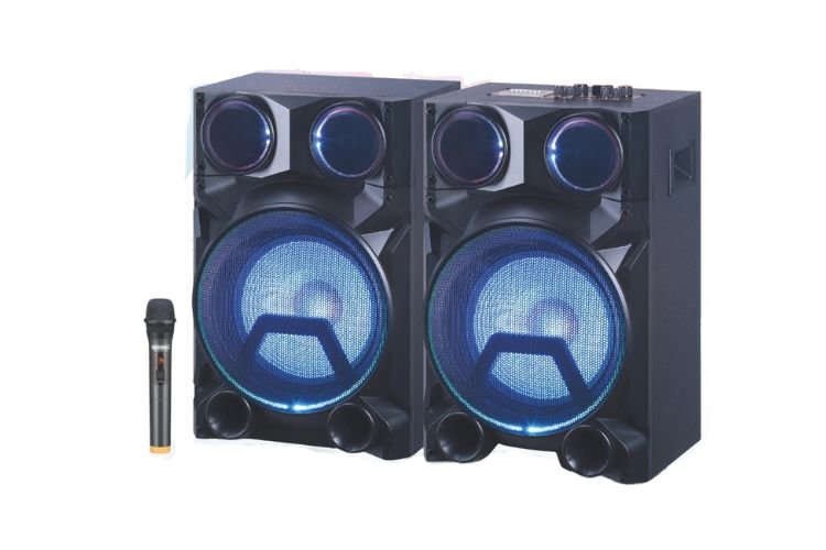 UNIVERSAL UNSP-12 Prefessional Speaker