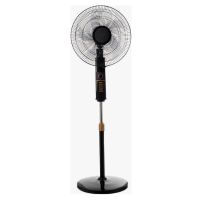 Stand Fan