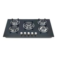 Gelinjie Tempered Glass Top Cooking 5 Burner Gas Stove