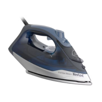 Tefal Express Steam+ Steam Iron